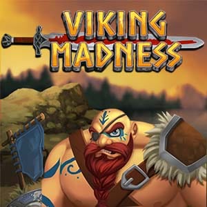 Viking Madness screenshot